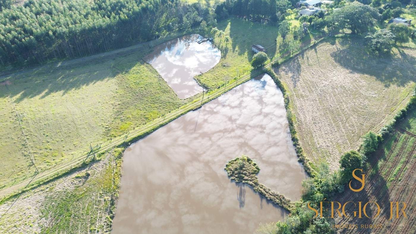 Chácara, 3 quartos, 4 hectares - Foto 15