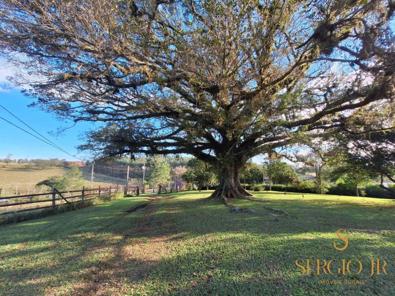 Chácara, 3 quartos, 4 hectares - Foto 22