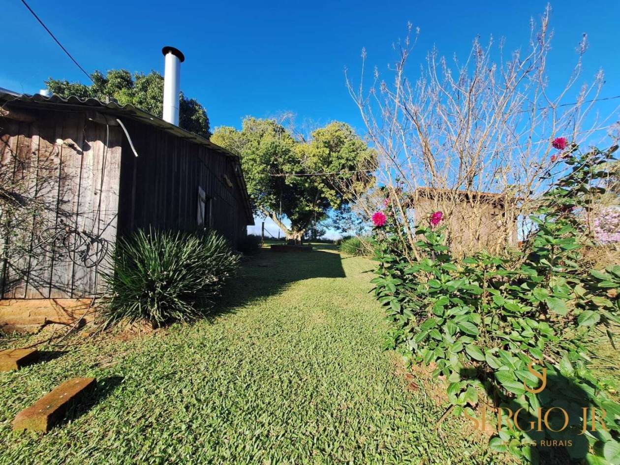 Chácara, 3 quartos, 4 hectares - Foto 34