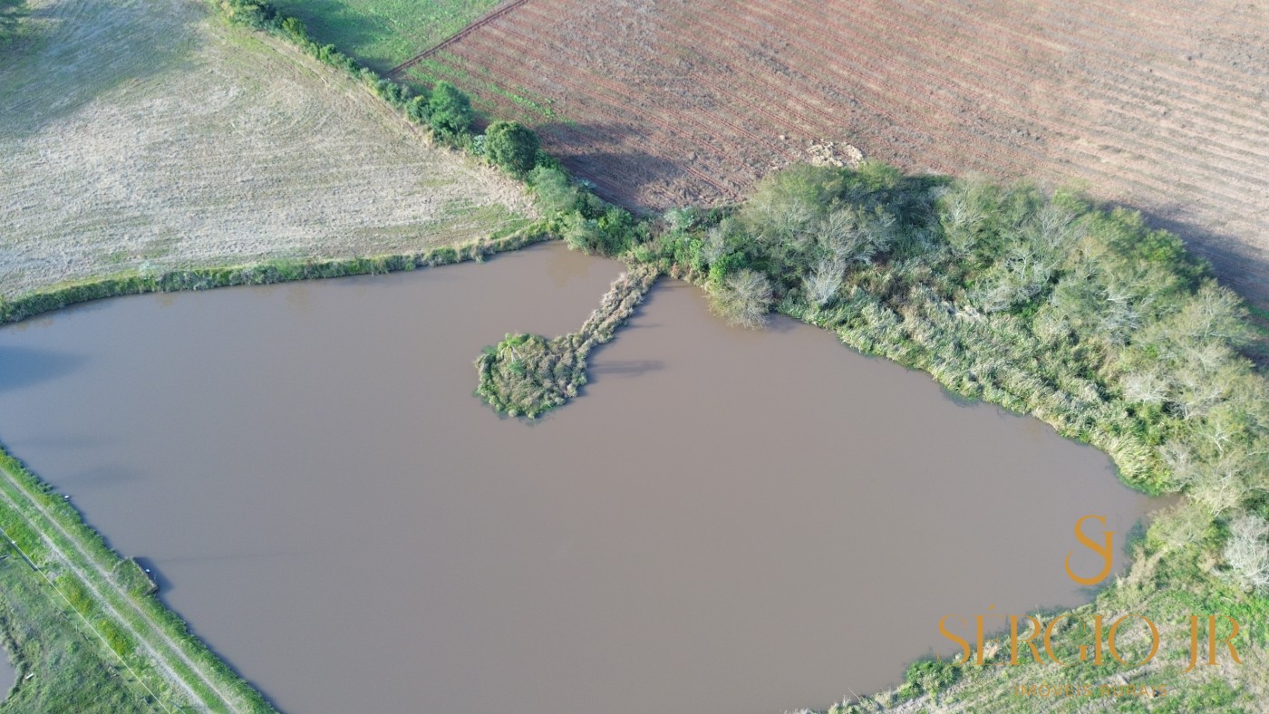 Chácara, 3 quartos, 4 hectares - Foto 41