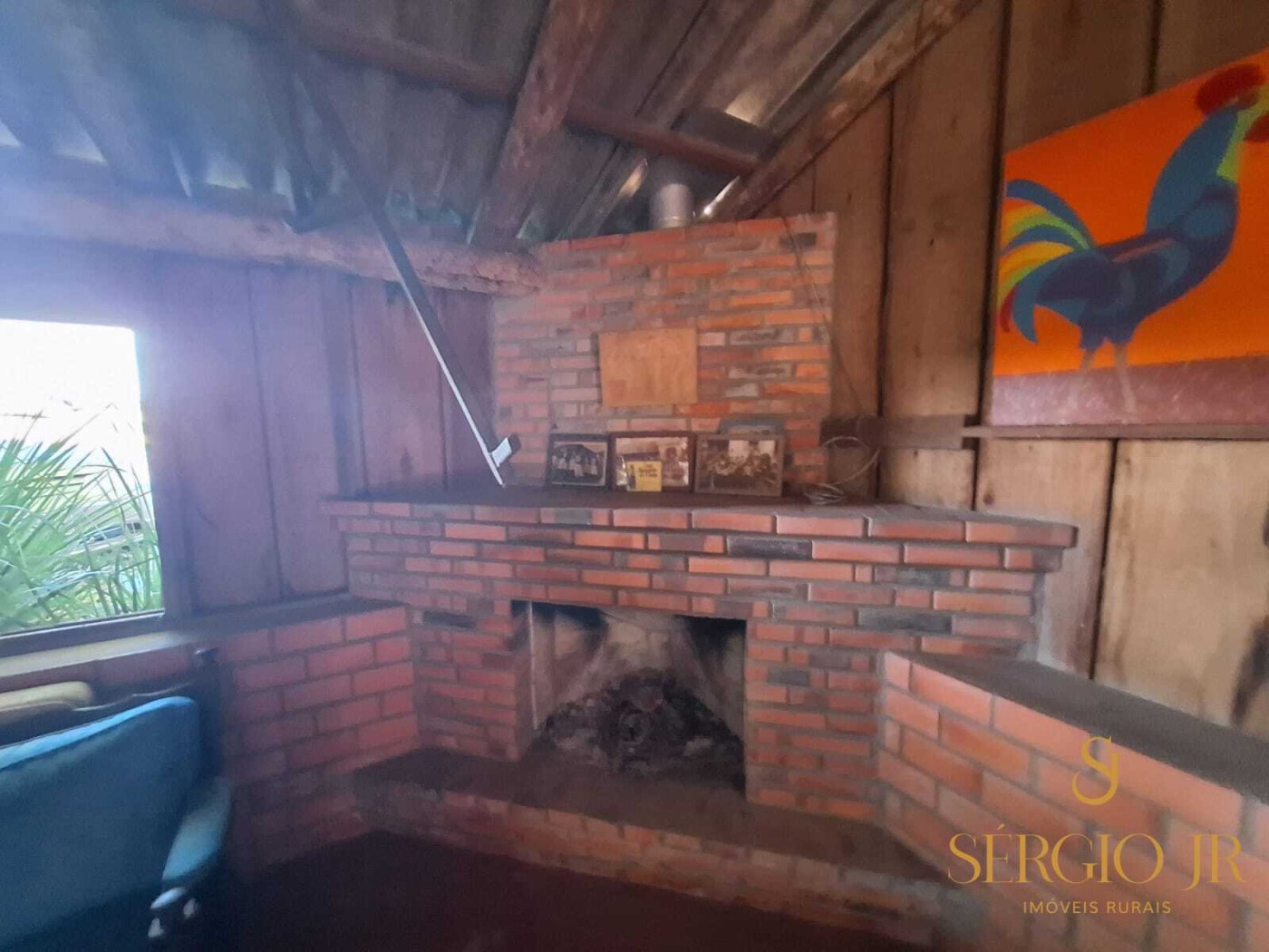 Chácara, 3 quartos, 4 hectares - Foto 45