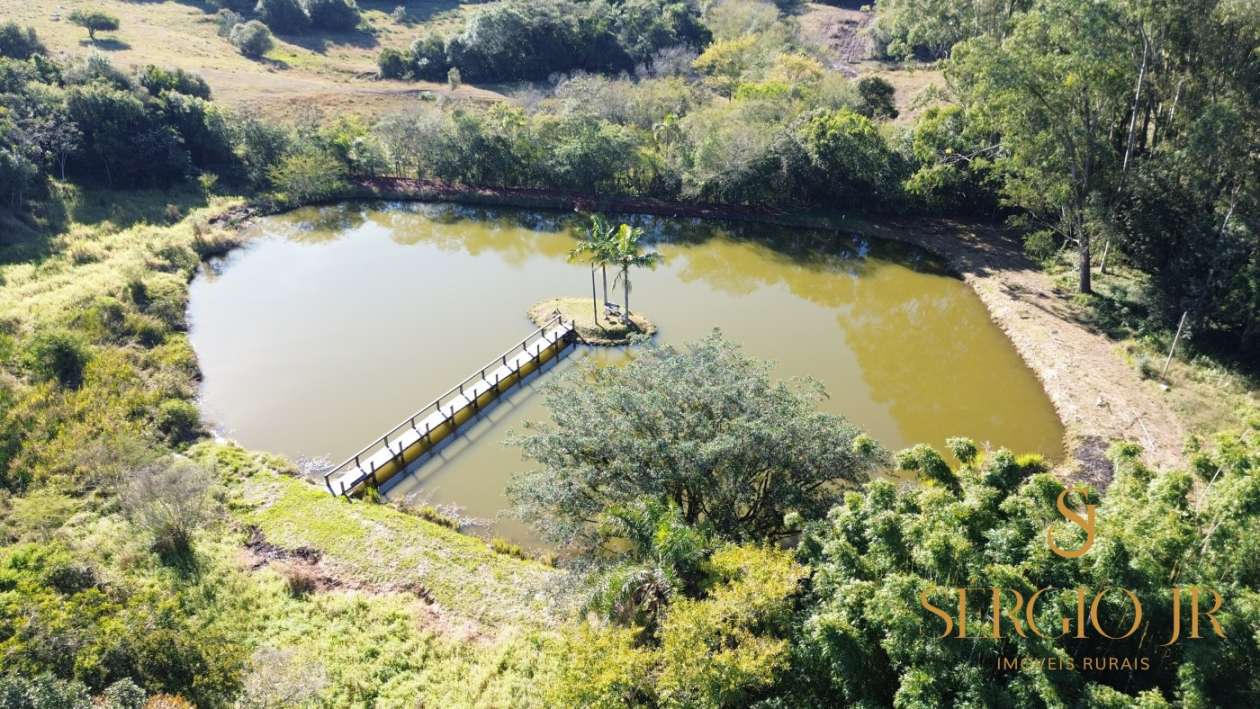 Chácara, 6 quartos, 3 hectares - Foto 12
