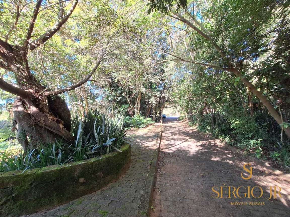 Chácara, 6 quartos, 3 hectares - Foto 19