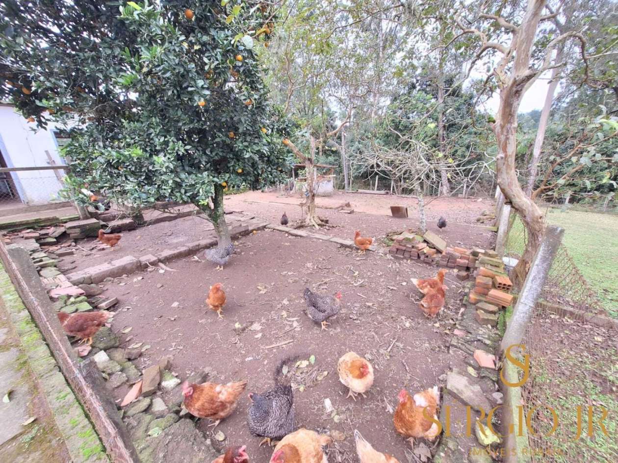 Chácara, 7 quartos, 10000 m² - Foto 23