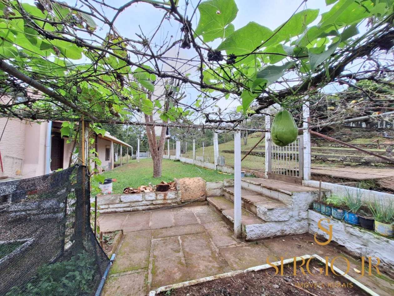 Chácara, 7 quartos, 10000 m² - Foto 27