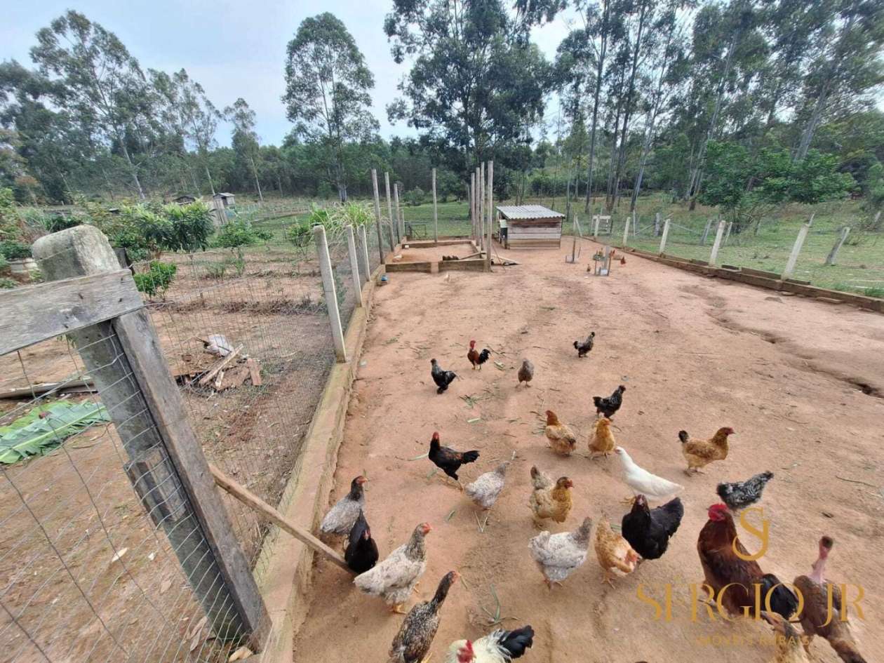 Chácara, 3 quartos, 1500 m² - Foto 30