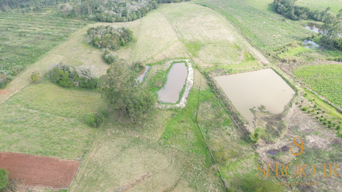 Chácara, 3 quartos, 2 hectares - Foto 3