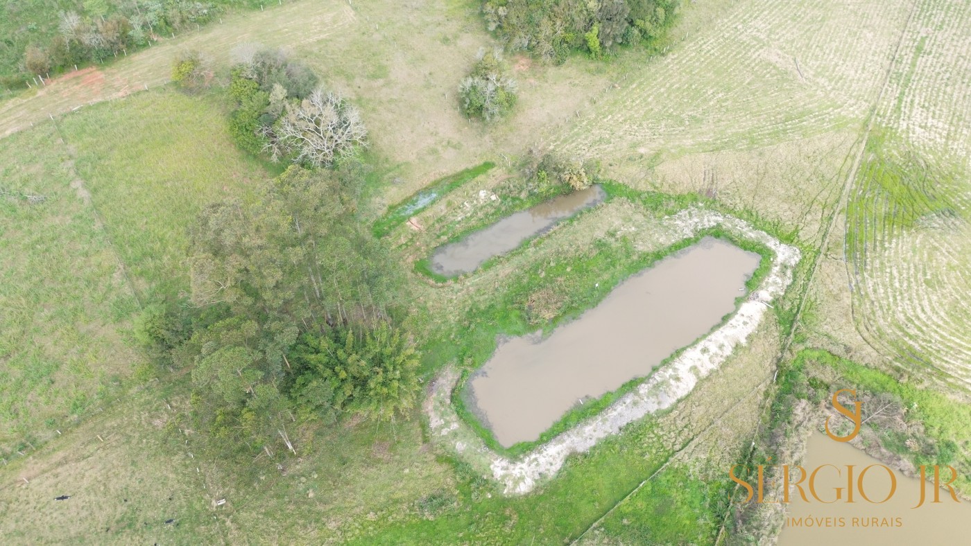 Chácara, 3 quartos, 2 hectares - Foto 4