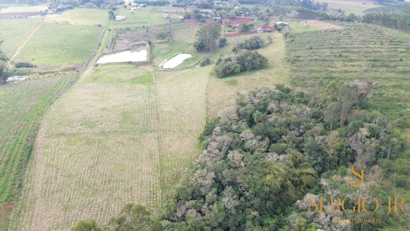 Chácara, 3 quartos, 2 hectares - Foto 8