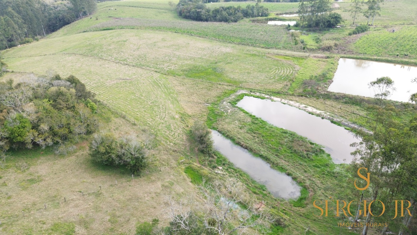 Chácara, 3 quartos, 2 hectares - Foto 10