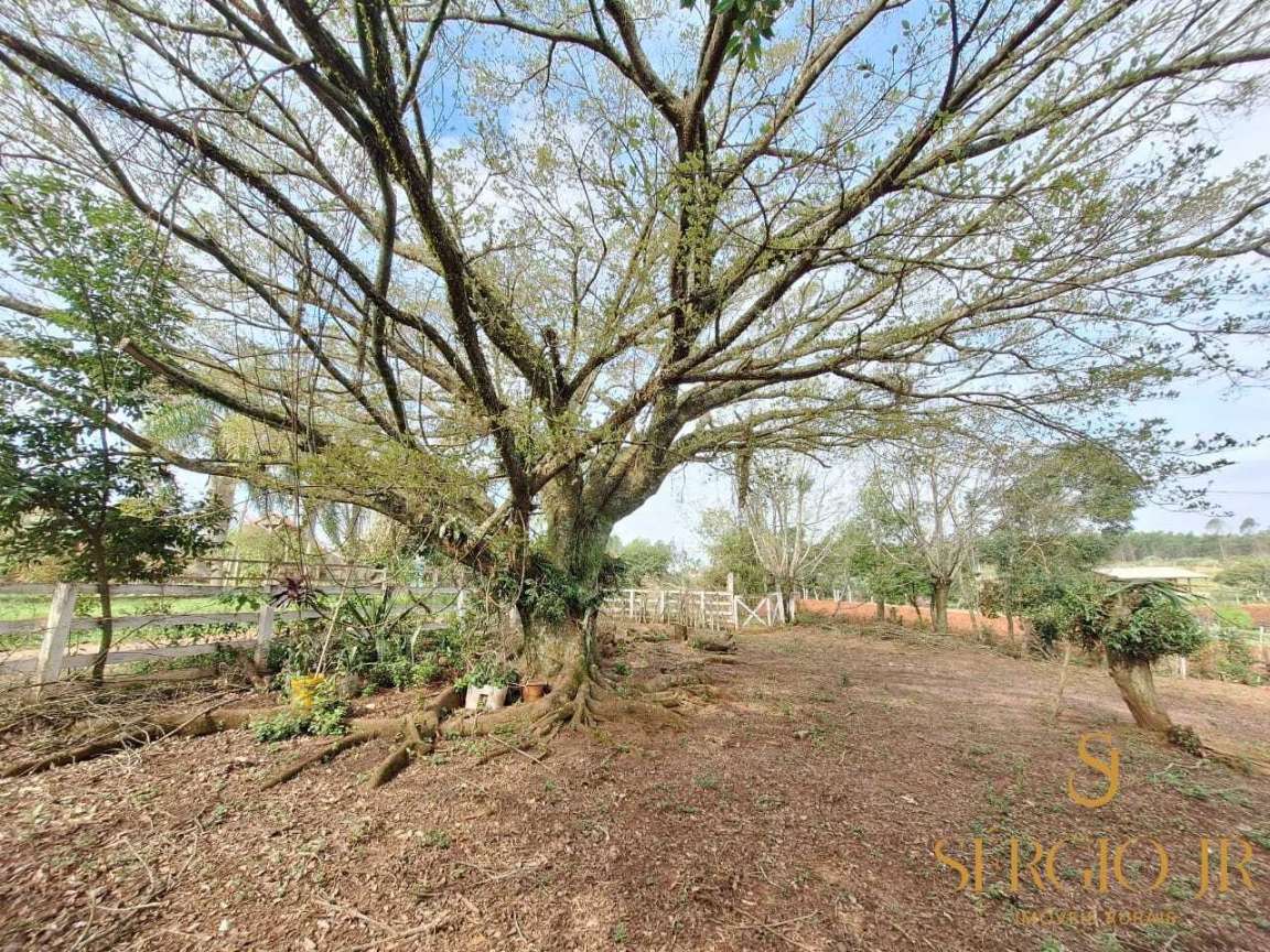 Chácara, 3 quartos, 2 hectares - Foto 27