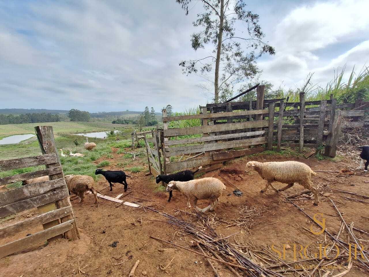 Chácara, 3 quartos, 2 hectares - Foto 32