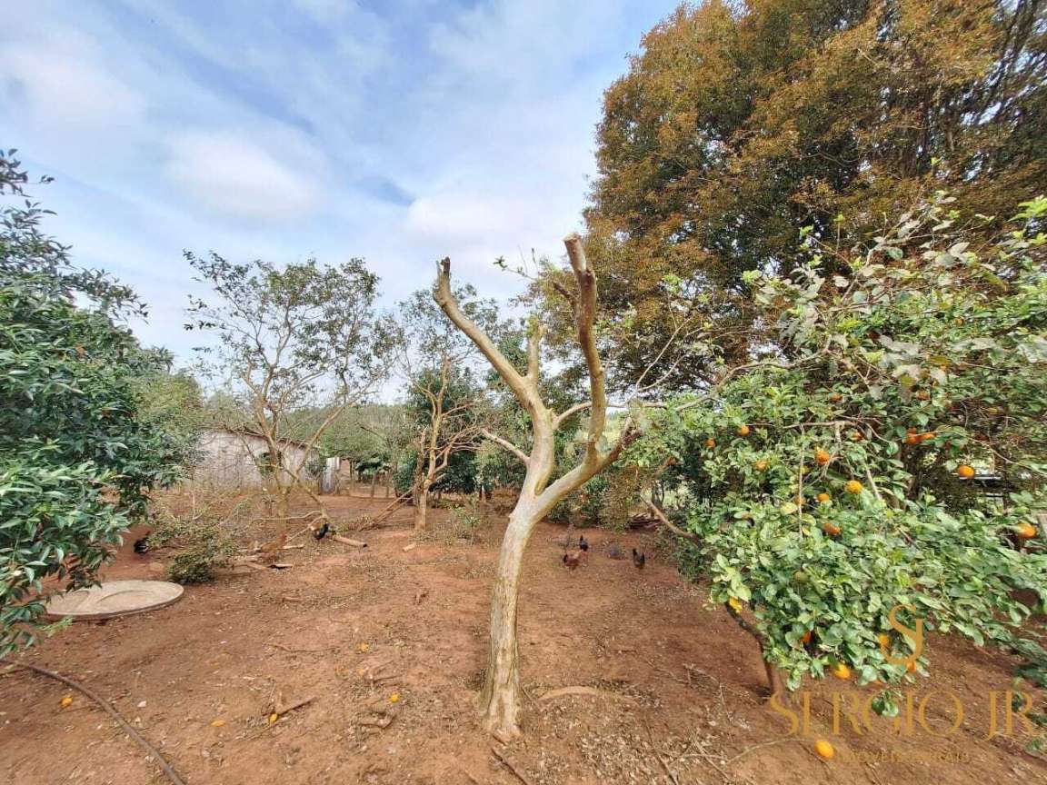 Chácara, 3 quartos, 2 hectares - Foto 31