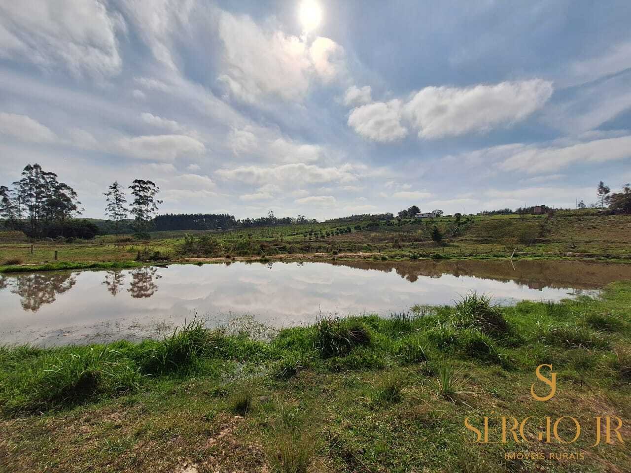 Chácara, 3 quartos, 2 hectares - Foto 34