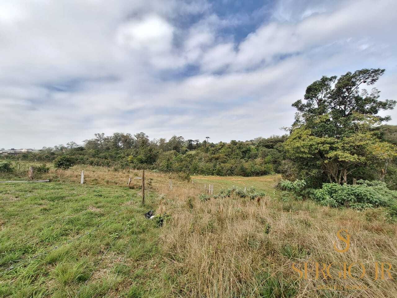 Chácara, 3 quartos, 2 hectares - Foto 35