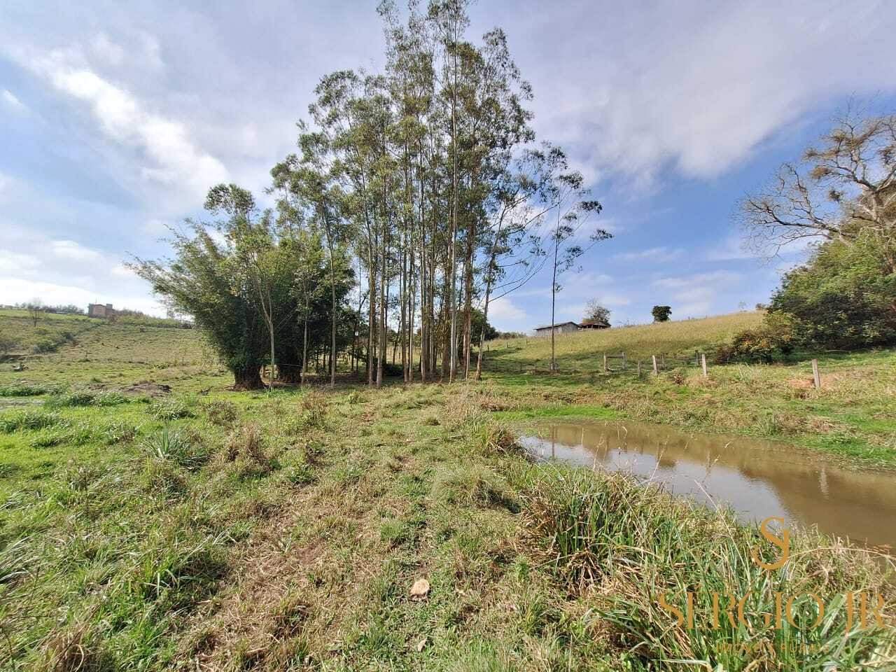 Chácara, 3 quartos, 2 hectares - Foto 36
