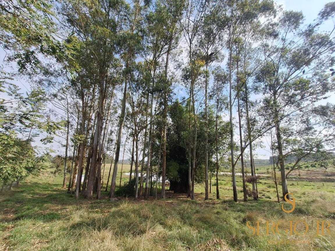Chácara, 3 quartos, 2 hectares - Foto 37