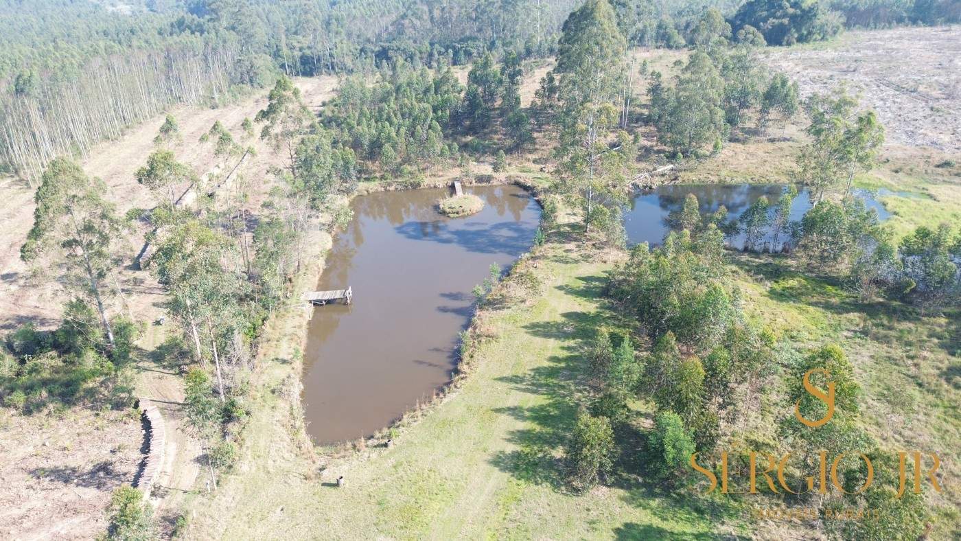 Chácara, 3 quartos, 4 hectares - Foto 2