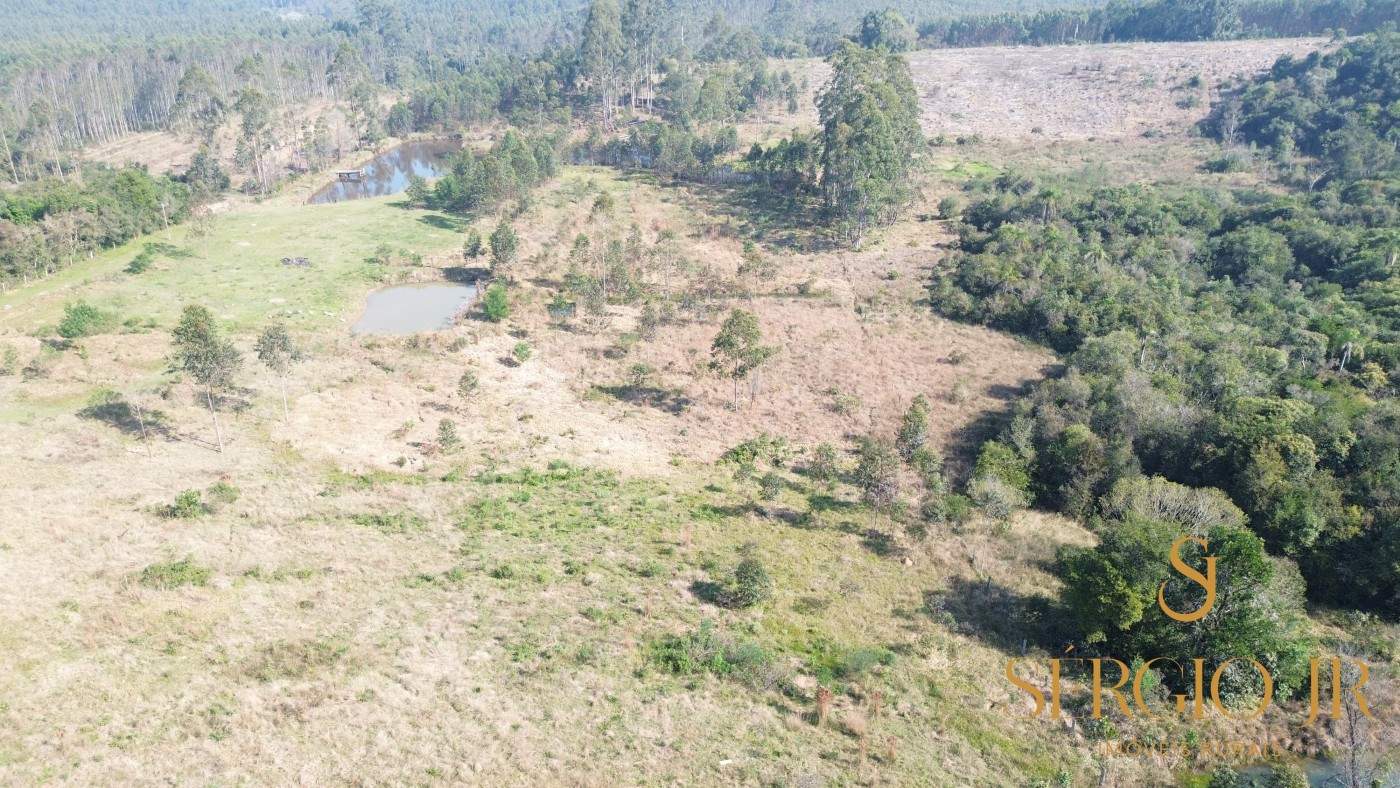 Chácara, 3 quartos, 4 hectares - Foto 13
