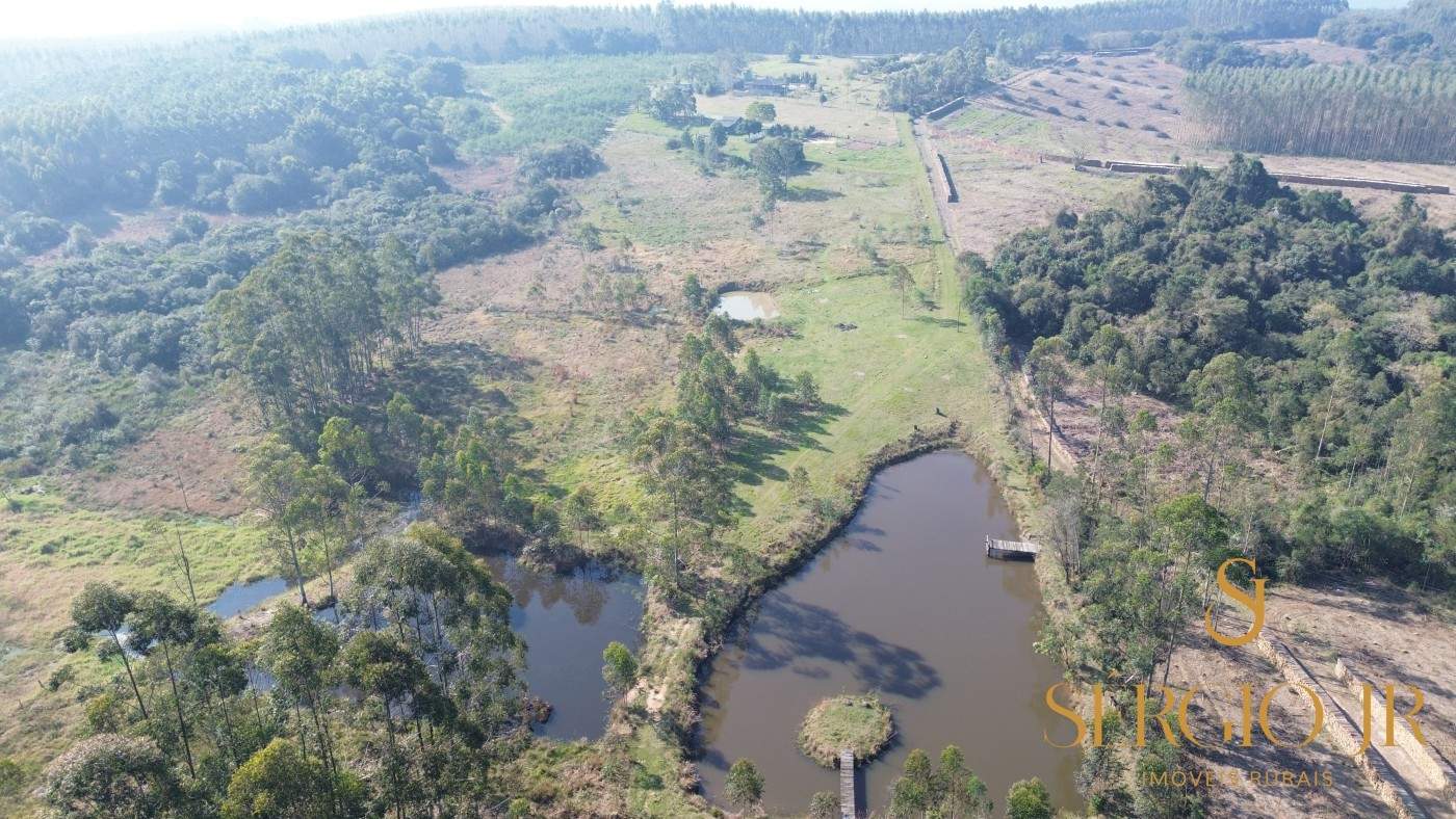 Chácara, 3 quartos, 4 hectares - Foto 14