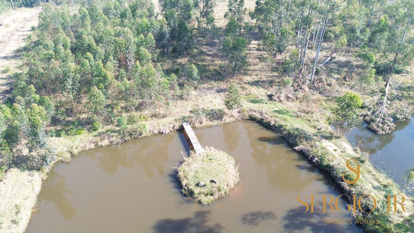 Chácara, 3 quartos, 4 hectares - Foto 16