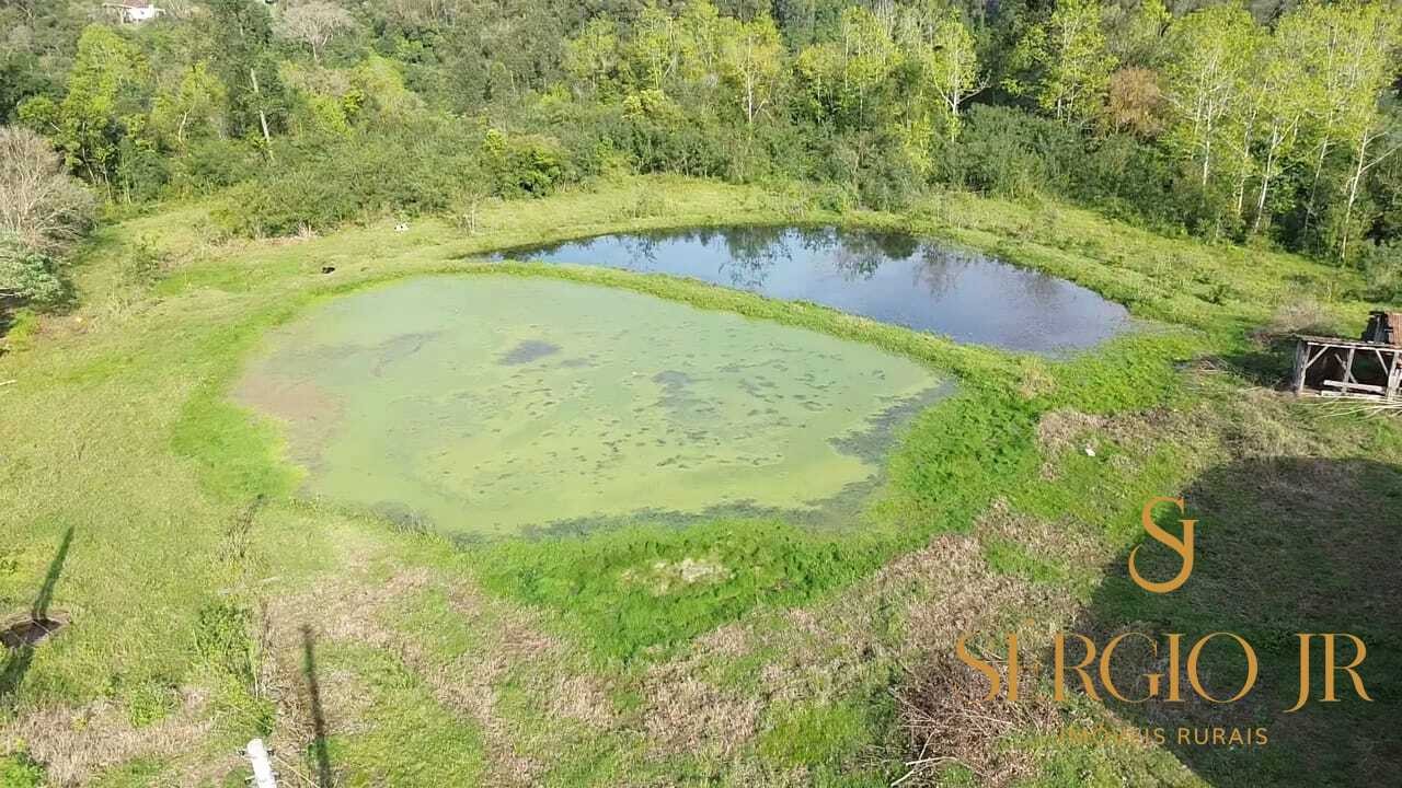 Chácara, 3 quartos, 10 hectares - Foto 6