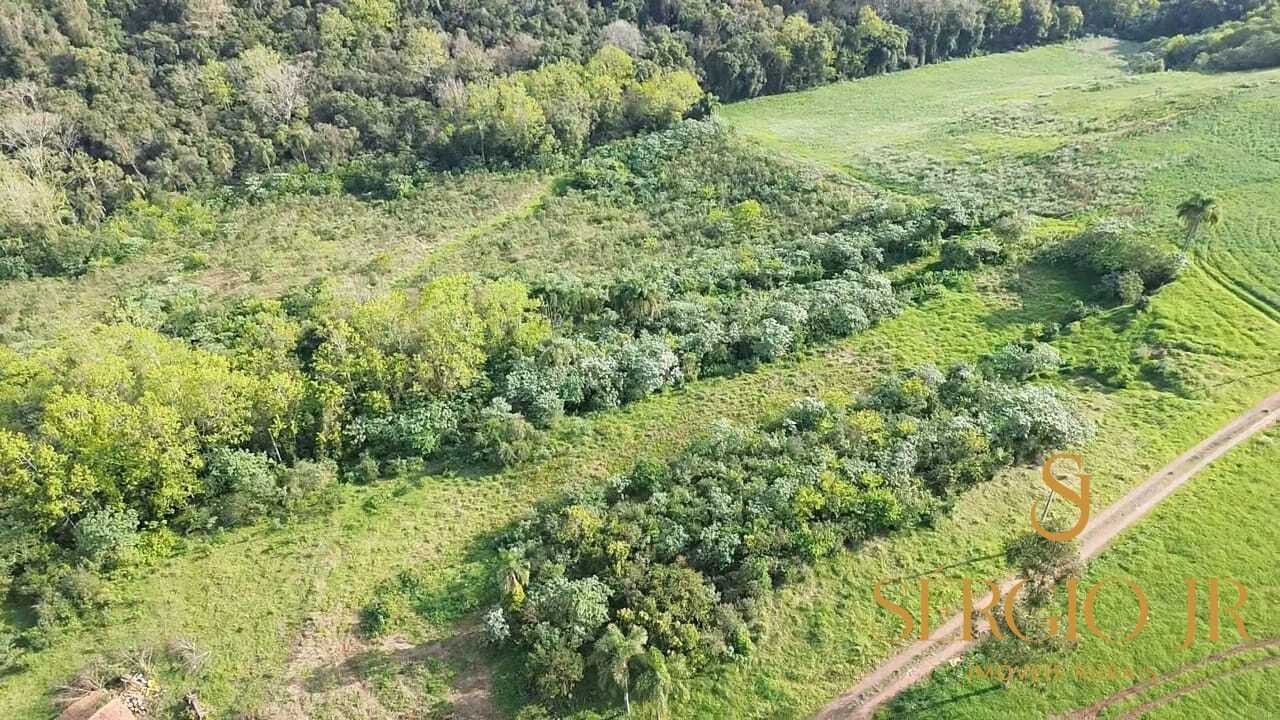 Chácara, 3 quartos, 10 hectares - Foto 12