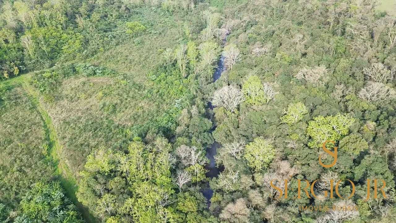 Chácara, 3 quartos, 10 hectares - Foto 18