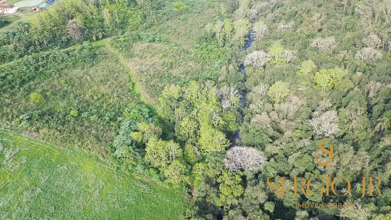 Chácara, 3 quartos, 10 hectares - Foto 19