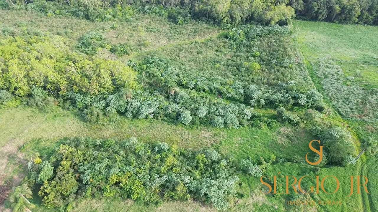 Chácara, 3 quartos, 10 hectares - Foto 25