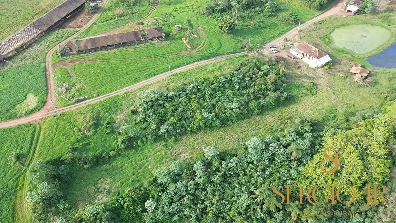 Chácara, 3 quartos, 10 hectares - Foto 22