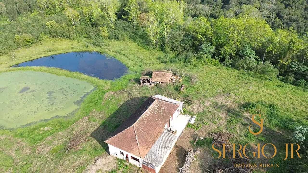 Chácara, 3 quartos, 10 hectares - Foto 28