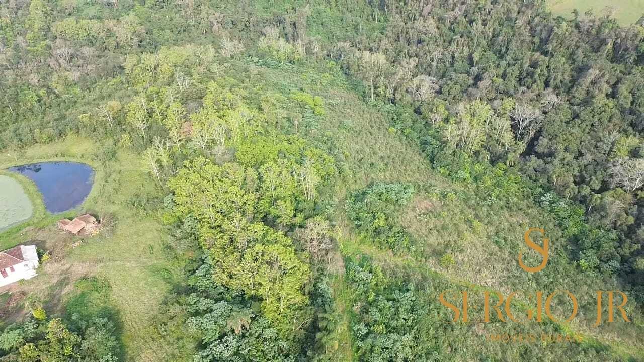 Chácara, 3 quartos, 10 hectares - Foto 35
