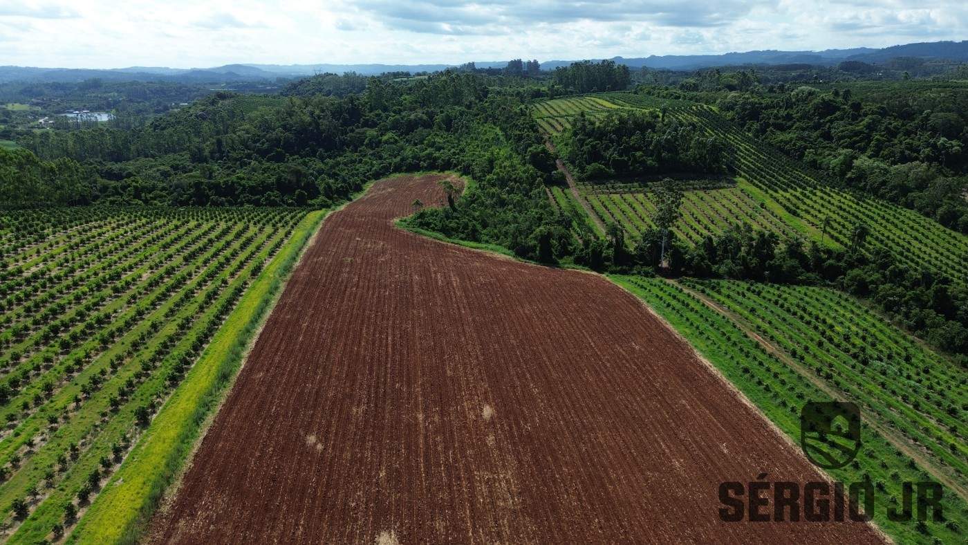 Loteamento e Condomínio, 12 hectares - Foto 14