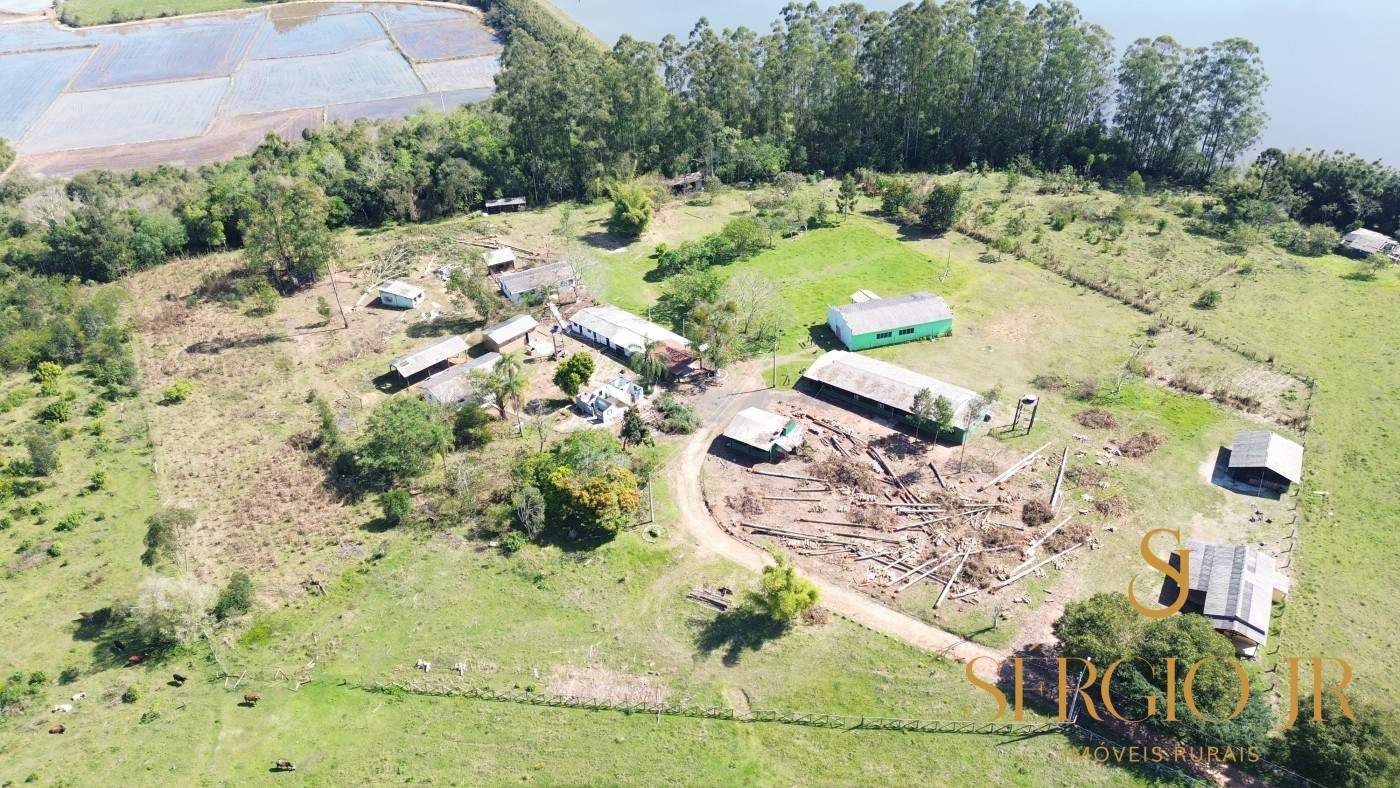 Chácara, 6 quartos, 10 hectares - Foto 3