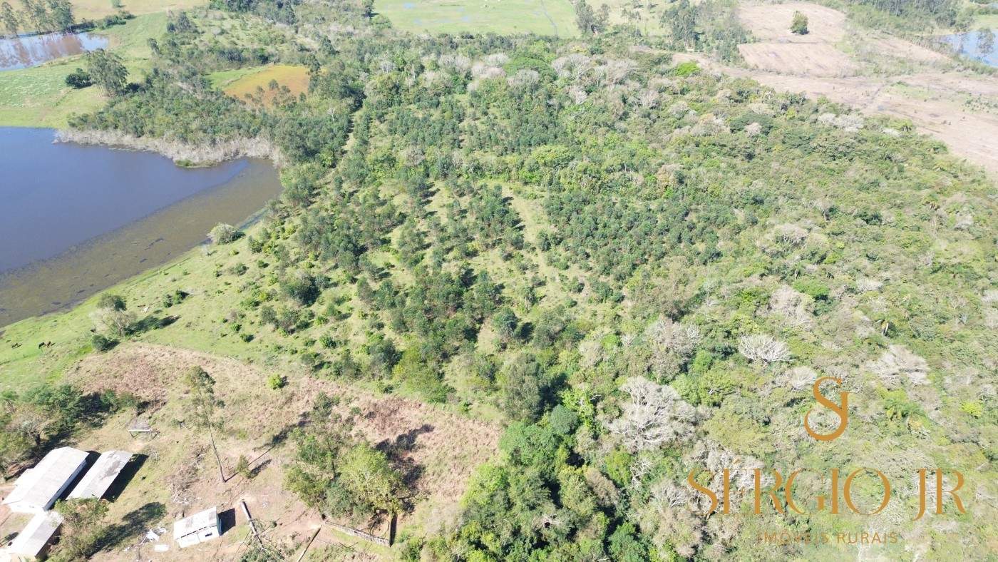 Chácara, 6 quartos, 10 hectares - Foto 4