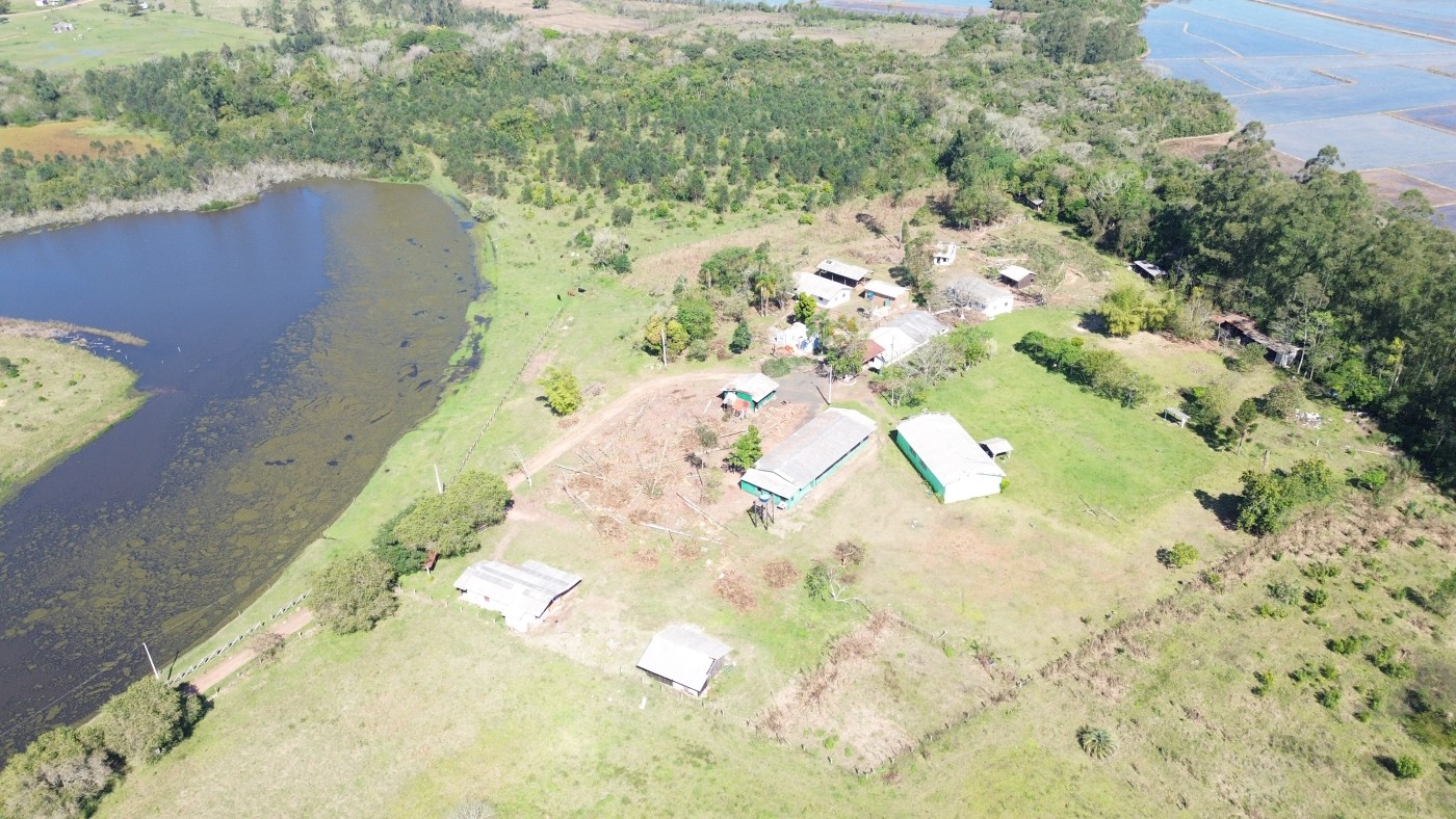 Chácara, 6 quartos, 10 hectares - Foto 7