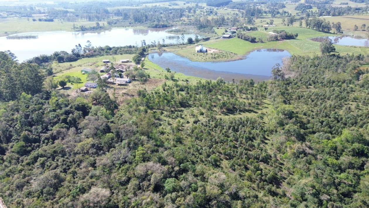 Chácara, 6 quartos, 10 hectares - Foto 9