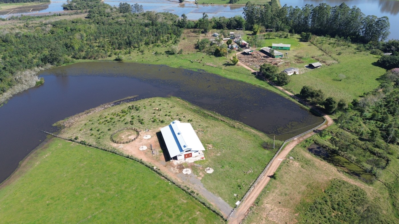 Chácara, 6 quartos, 10 hectares - Foto 10