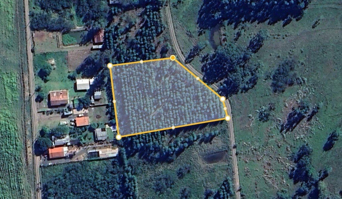 Loteamento e Condomínio, 5000 m² - Foto 2