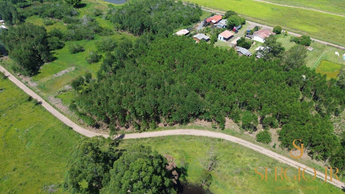 Loteamento e Condomínio, 5000 m² - Foto 3