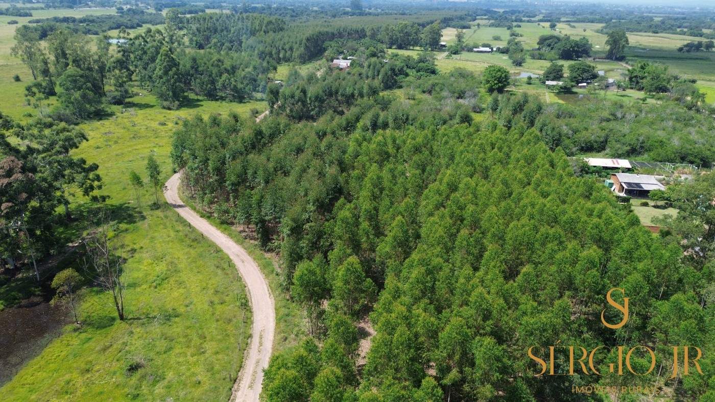 Loteamento e Condomínio, 5000 m² - Foto 6