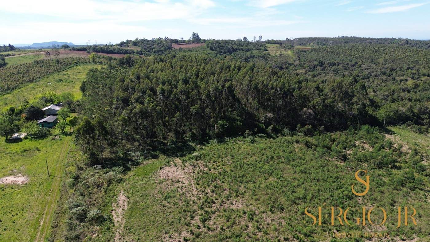 Loteamento e Condomínio, 5 hectares - Foto 3