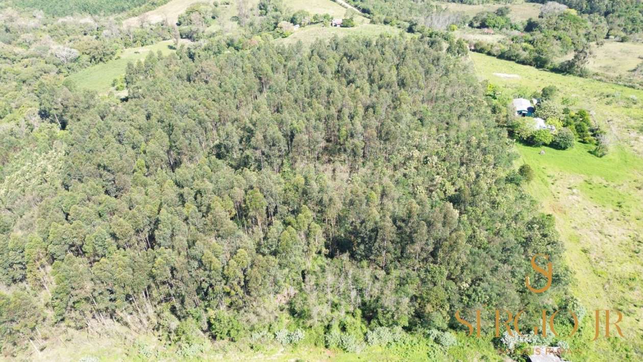 Loteamento e Condomínio, 5 hectares - Foto 6