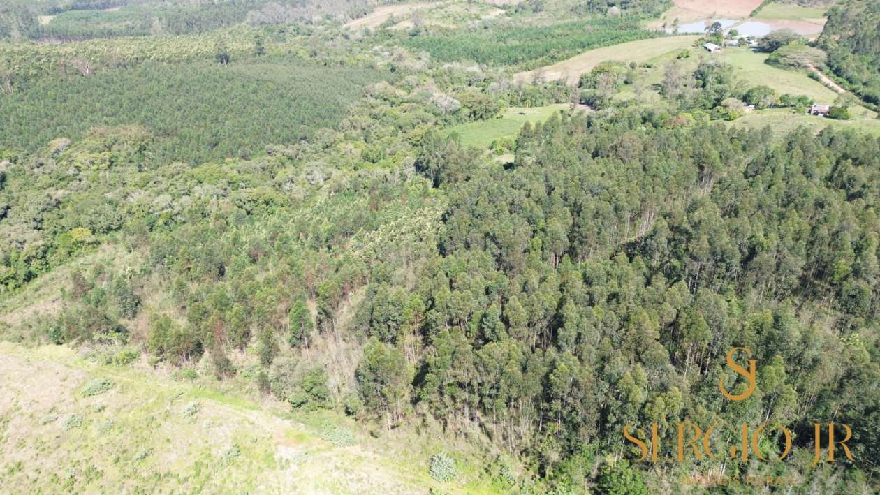 Loteamento e Condomínio, 5 hectares - Foto 7