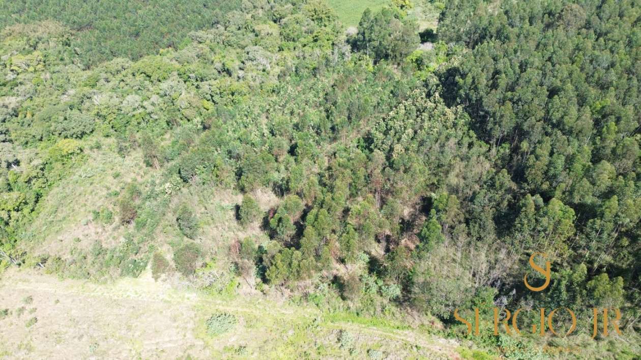 Loteamento e Condomínio, 5 hectares - Foto 8