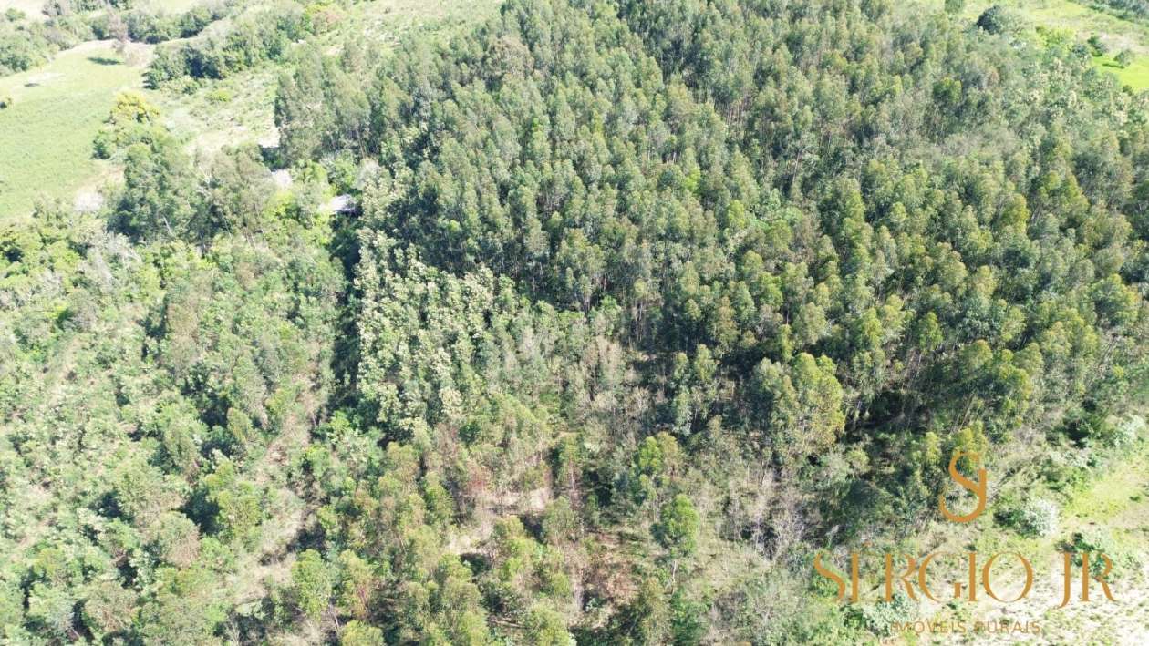 Loteamento e Condomínio, 5 hectares - Foto 9
