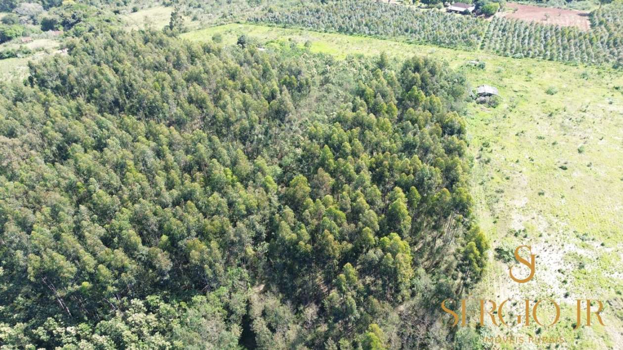 Loteamento e Condomínio, 5 hectares - Foto 10