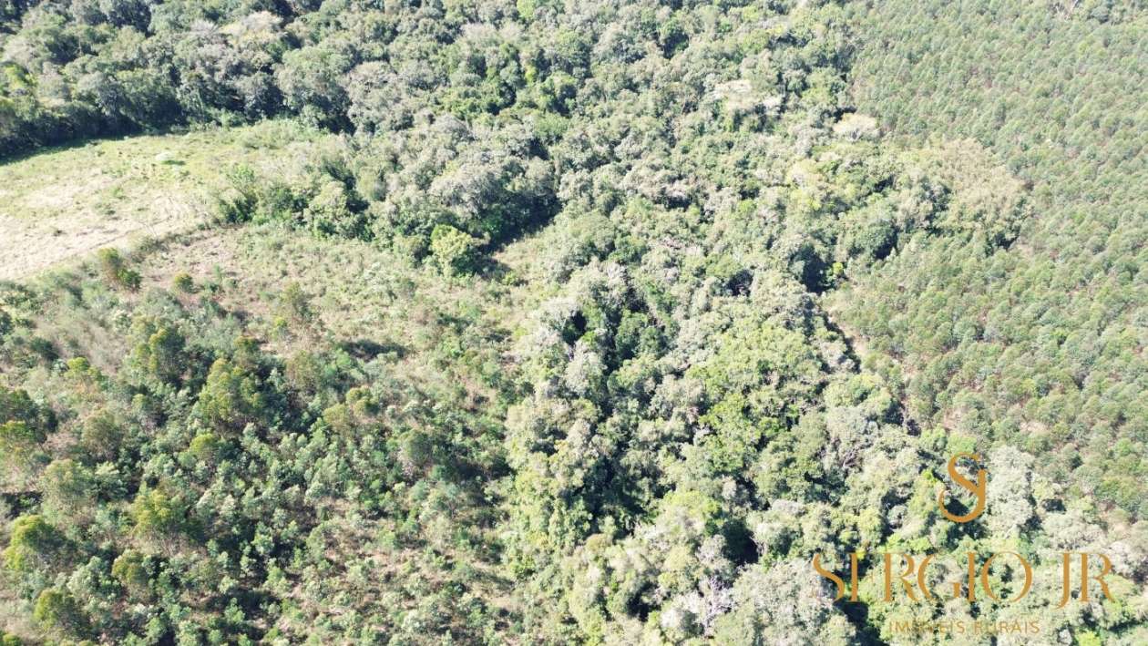 Loteamento e Condomínio, 5 hectares - Foto 12