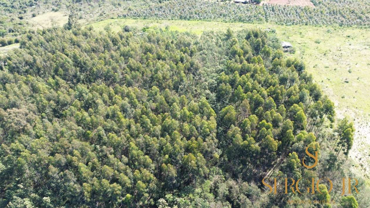 Loteamento e Condomínio, 5 hectares - Foto 11